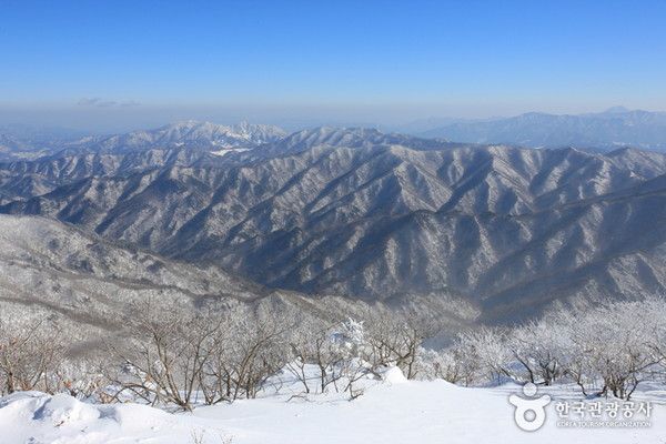 무주 덕유산 눈꽃세상 '상고대' 추위날씨스케치 (사진출처=한국관광공사)