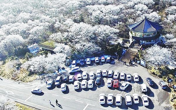 제주도 한라산 1100고지 상고대, 추위스케치, 눈스케치 (사진출처=제주관광공사)