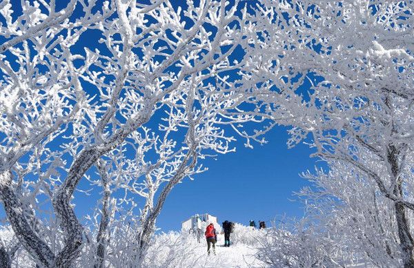 상고대, 눈꽃, 추위, 눈스케치 (사진출처=한국관광공사)