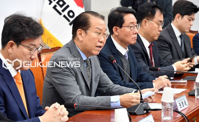 권영세 국민의힘 비상대책위원장/국제뉴스DB