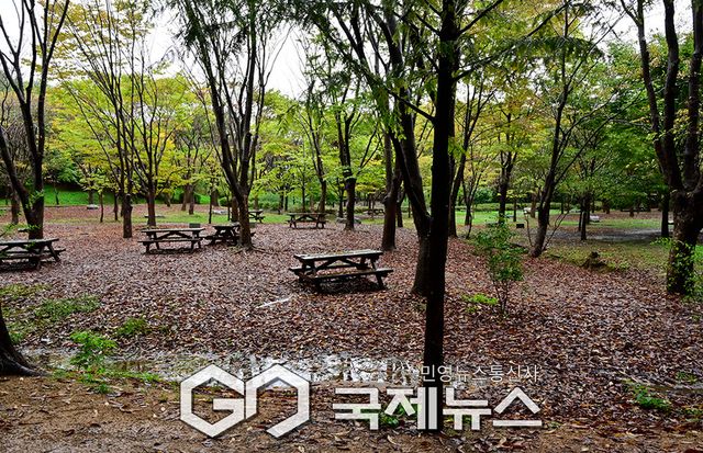 추석 연휴에서 일상으로. 가을비 촉촉이 내리는 인천대공원 표정 (사진=안희영 기자)