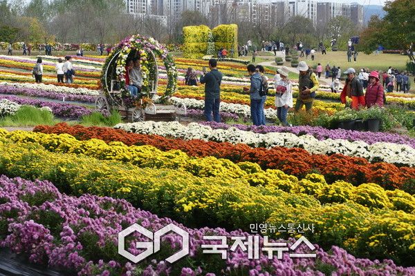 ‘제7회&nbsp;연천국화축제’, 약&nbsp;1,000여 점의&nbsp;국화&nbsp;작품이&nbsp;‘국화의&nbsp;숲’을&nbsp;이루며&nbsp;관람객들의&nbsp;발길을&nbsp;사로잡으며&nbsp;가을&nbsp;정취를&nbsp;한껏&nbsp;물씬&nbsp;풍기고&nbsp;있다.(사진.이운안 기자)