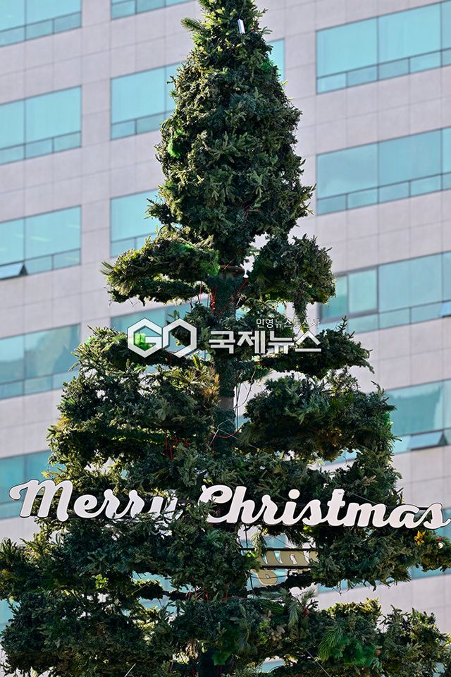 2025 대한민국성탄축제 성탄트리 설치, 해당화와 은방울꽃 장식해 (사진=안희영 기자)