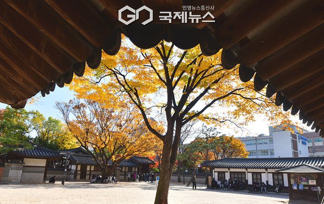 11월 도심에 단풍이 물든 가운데 나들이객 줄이어 (사진=안희영 기자)