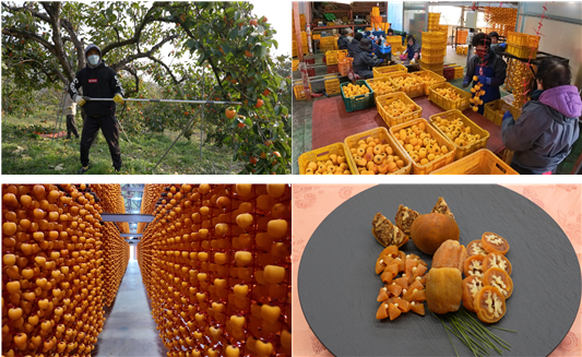 (사진=EBS1 '극한직업')