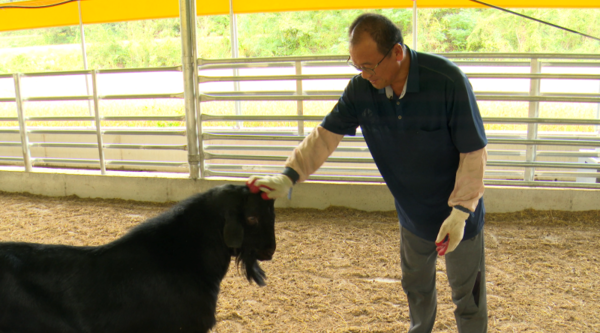 인간극장/ kbs 제공