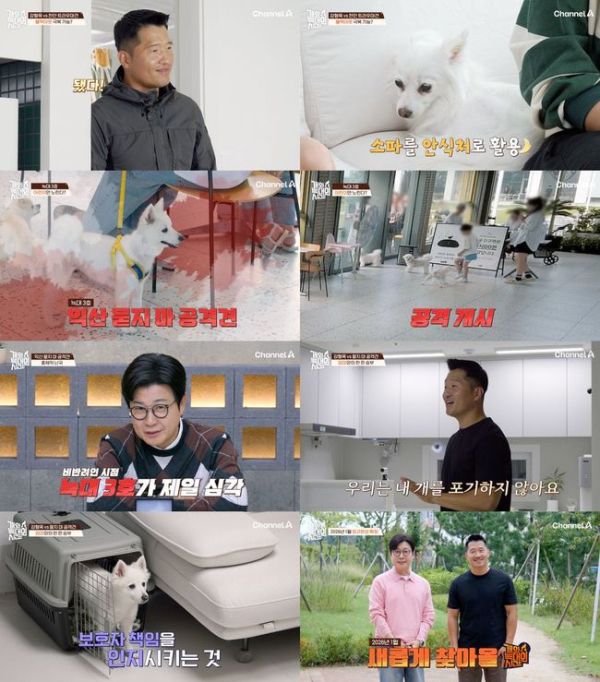 채널A 반려견 솔루션 예능 '개와 늑대의 시간'