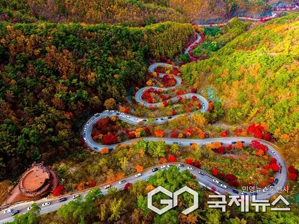 단양 보발재 붉게 물든 형형색색 단풍 절정 모습(사진=단양군)