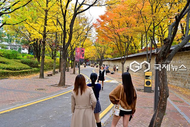 가을낭만, 덕수궁과 정동길의 가을 단풍 풍경 (사진=안희영 기자)