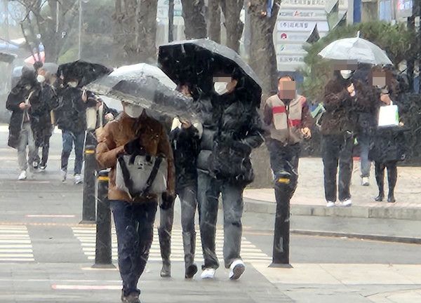 함박눈, 눈스케치, 눈오는날씨 (국제뉴스DB)