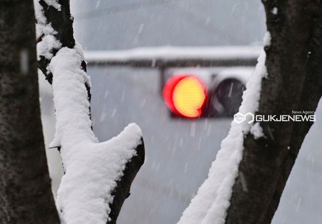을사년 새해 첫 주말, 폭설 내린 도심 풍경 (사진=안희영 기자)