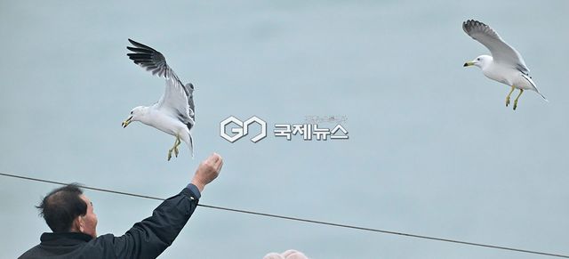 12월 첫 주, 월미도의 주말 풍경 ‘오 해피’ (사진=안희영 기자)