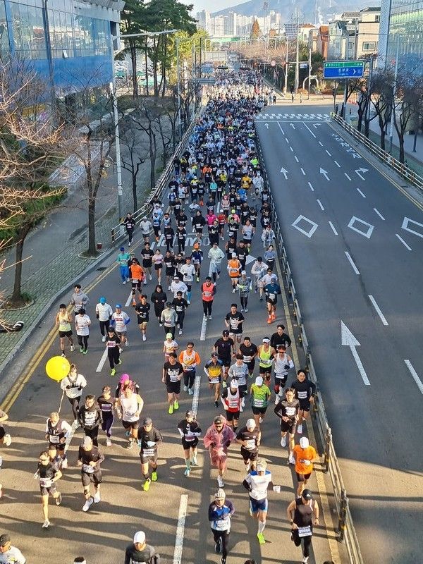 양산전국하프마라톤대회 주차 후기 상금 / 양산시 제공