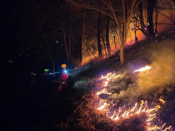 산불 자료사진(사진=산림청 자료사진) / 본 기사와 무관한 사진입니다.