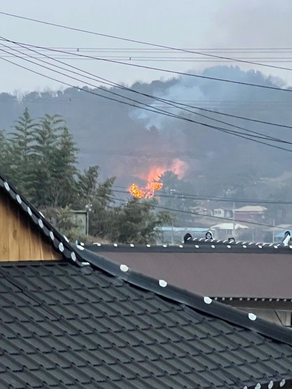 부여 산불/ 산림청 제공&nbsp;