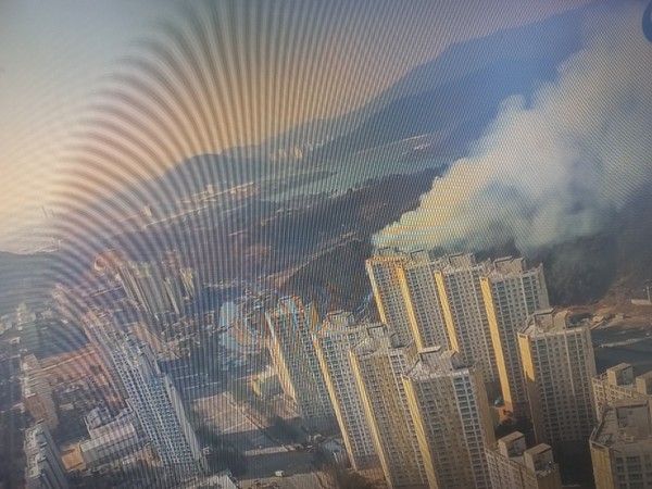 사진제공/산림청