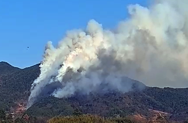 하동 산불 (사진=산림청 제공)
