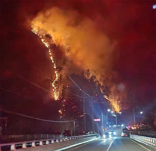 정선 산불 (사진=산림청 제공)