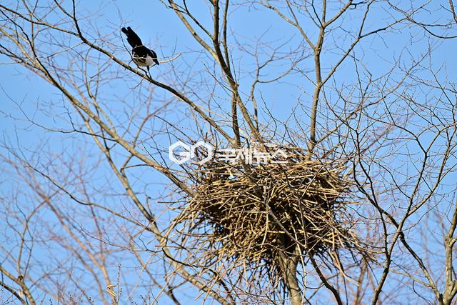 봄 기운이 돌고 초목이 싹트는 절기 우수, 인천대공원 표정 (사진=안희영 기자)
