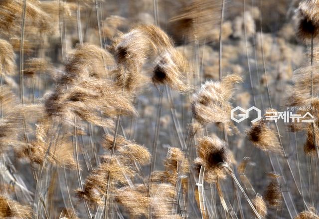 오전 영하권, 오후 기온 상승 가운데 꽃샘추위 이어져 (사진=안희영 기자)