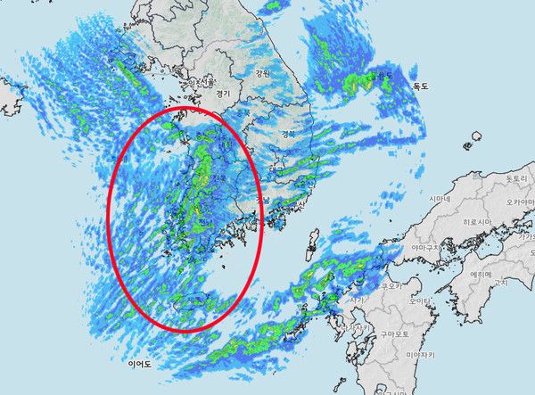 7일 오전 11시 기준 (사진=기상청 제공)
