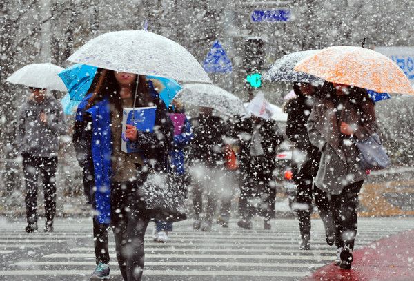 눈스케치, 추위, 날씨스케치 (국제뉴스DB)