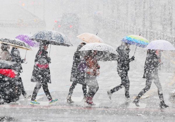 눈스케치, 추위, 날씨스케치 (국제뉴스DB)