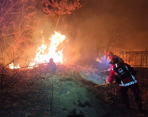 산불 (사진=산림청)