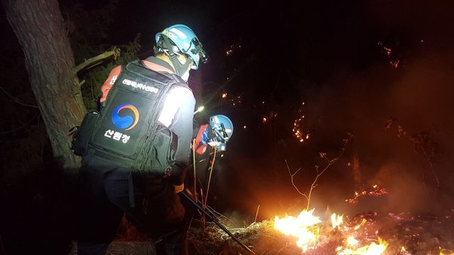 사진은 기사와 무관함. 야간산불 진화 (사진=산림청)