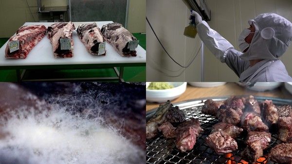 곰팡이를 활용한 건식 숙성법 / EBS 제공&nbsp;