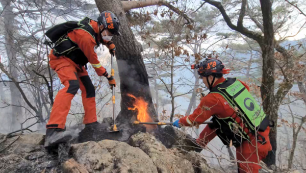 산불 (사진출처=산림청)