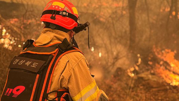 의성 산불, 안동 산불 ./ 경북소방본부 제공
