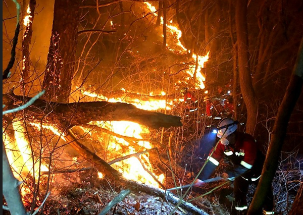 산불 (사진출처=산림청)&nbsp;