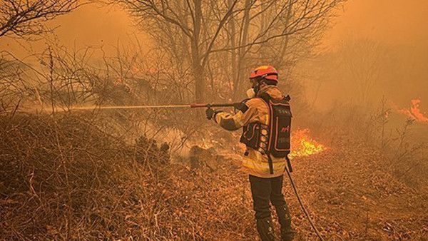 의성 산불, 안동 산불 ./ 경북소방본부 제공
