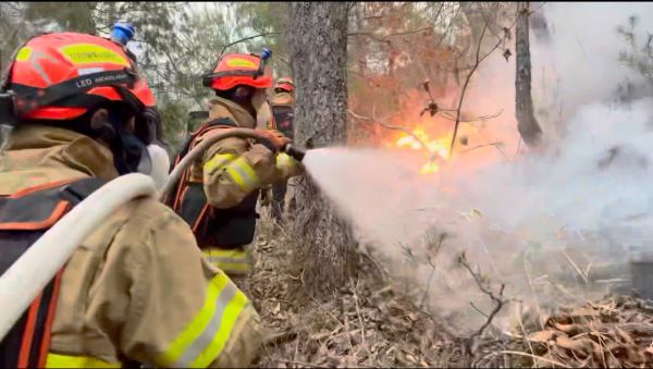 산불진화.(사진=경북소방)