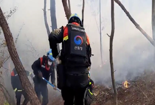 산불 (출처=산림청)