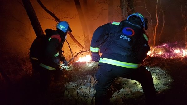산불 (산림청 제공)