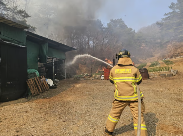 의성 산불 / 경북소방본부 제공&nbsp;