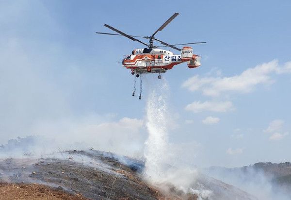 사진은 기사와 무관함. 산불 (사진출처=산림청)
