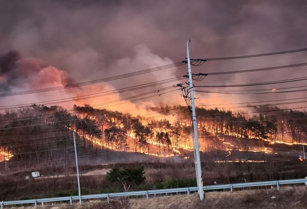 안동시 남선면 산불.(사진=김성기)