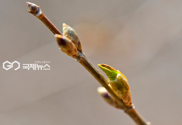 우수 경칩에 대동강물이 풀린다는 '우수'를 나흘 앞둔 인천대공원 표정 (사진=안희영 기자)