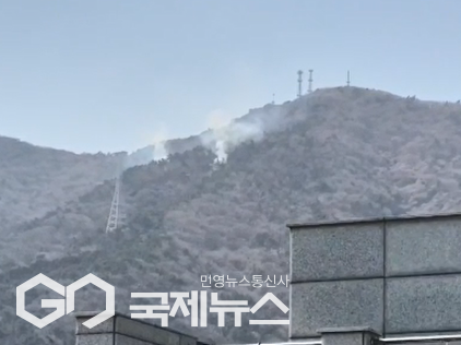 사진제공/산림청