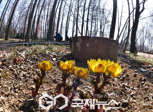 완연한 '봄' 즐기자 소통하자 / 인천대공원 표정 (사진=안희영 기자)