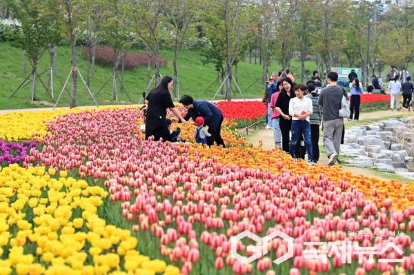 형형색색 튤립이 만개한 미사호수공원에서 남녀노소 시민들이 봄꽃을 감상하며 산책을 즐기고 있다. 꽃길을 거니는 가족과 어르신, 아이들의 웃음소리가 어우러져 공원 전체에 따뜻한 분위기가 감돈다.(사진/하남시)