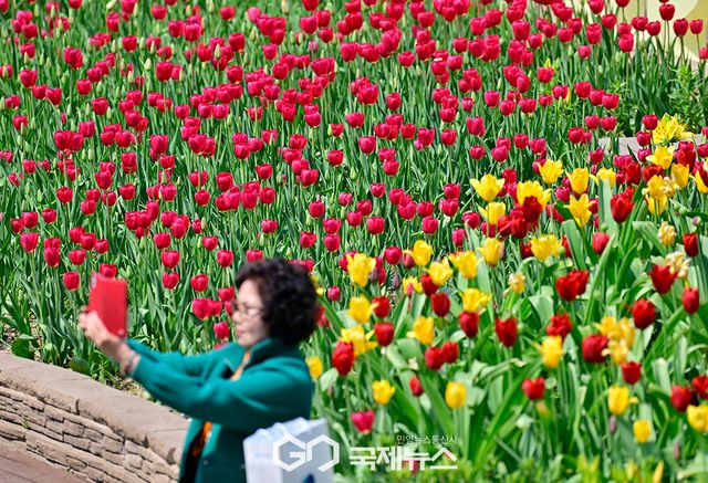 '꽃, 상상 그리고 향기' 고양국제꽃박람회, 일산호수공원에서 25일~5월 11일까지 (사진=안희영 기자)