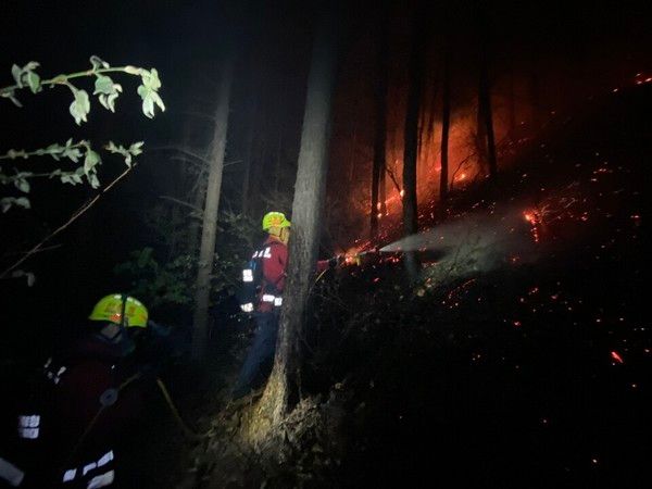 인제 산불 / 산림청 제공