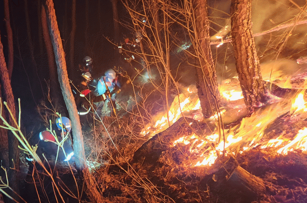산불 자료사진 (사진=산림청)