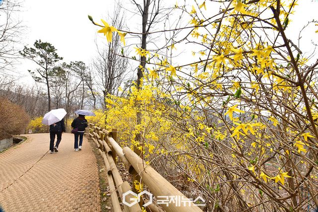 봄이 오는 풍경 기록하는 사진가와 시민들/인천대공원 표정 (사진=안희영 기자)