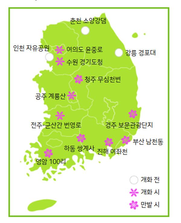 2025년 4월 6일 0시기준 벚꽃개화시기, 만개시기 현황 (사진=기상청 제공)