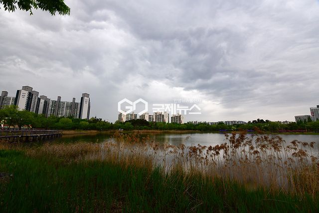 노동절, 천둥과 비 내리는 풍경/부천상동호수공원 표정 (사진=안희영 기자)